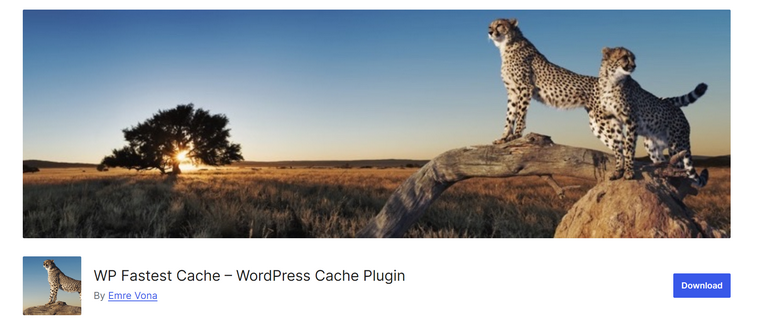 WP Fastest Cache plugin for Divi