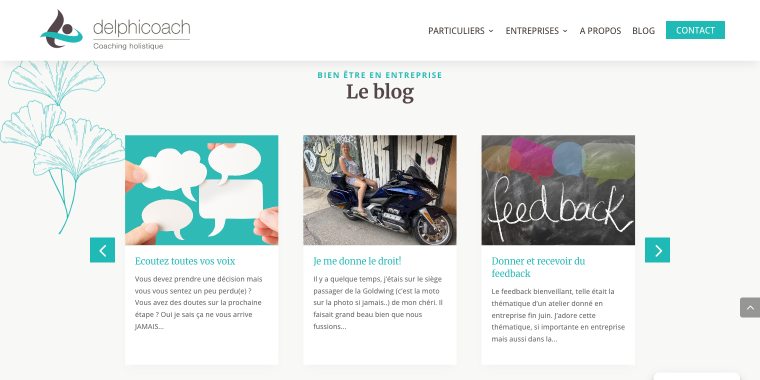 delphicoach blog posts carousel
