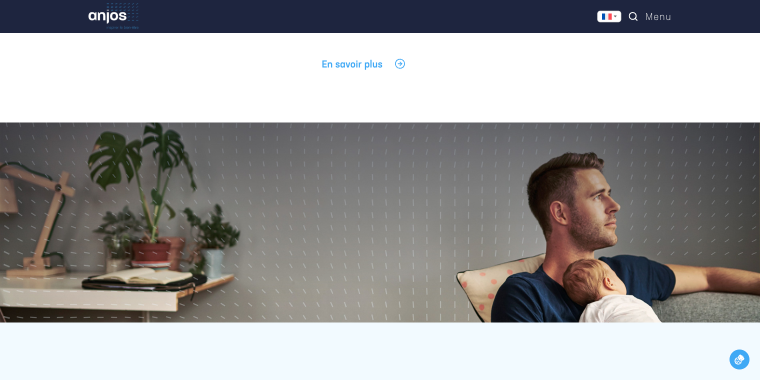 parallax section homepage