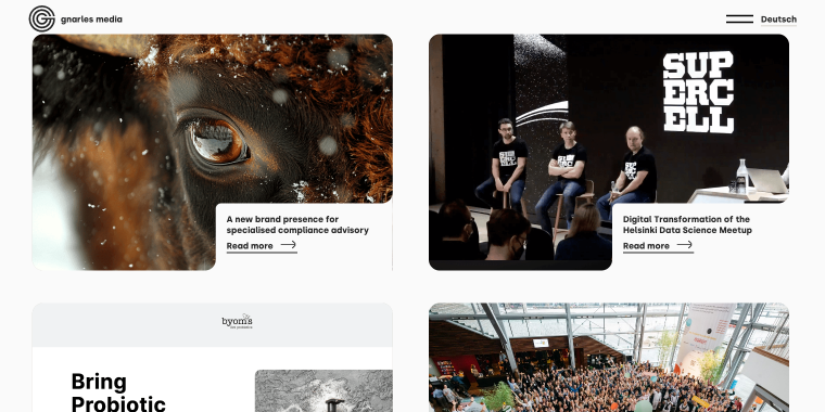 gnarles media portfolio page