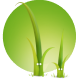 twig icon