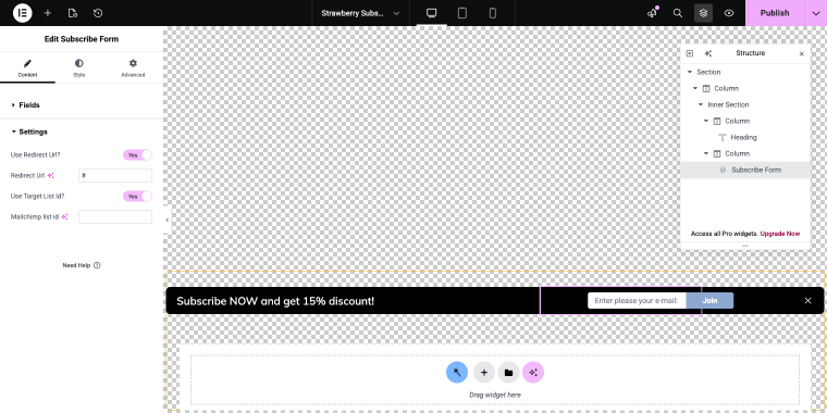subscription form widget