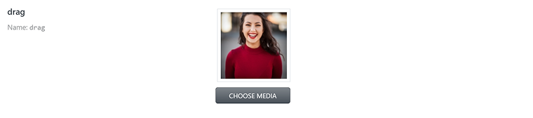 media preview WordPress 