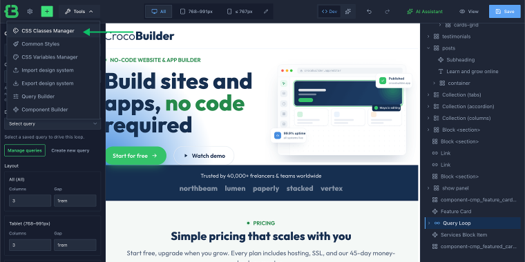 CSS classes manager access